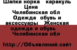 Шапки норка,  каракуль › Цена ­ 500 - Челябинская обл. Одежда, обувь и аксессуары » Женская одежда и обувь   . Челябинская обл.